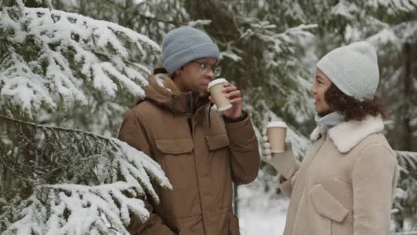 Mediana toma de joven afroamericano y su hermosa novia de pelo rizado de pie juntos en el bosque de invierno de coníferas y beber café caliente de tazas de papel - Imágenes, Vídeo