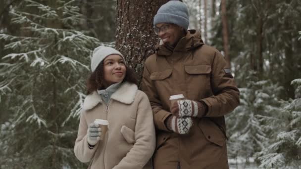 Tiro medio de joven hombre y mujer multiétnicos caminando en el bosque de coníferas de invierno, comunicando y bebiendo té caliente de tazas de papel - Metraje, vídeo
