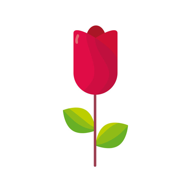 κόκκινο τριαντάφυλλο λουλούδι απομονωμένη εικόνα - Διάνυσμα, εικόνα