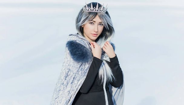 Fairy tale scene at arctic, woman in cold fantasy look, silver hair , cloak and dress at snowy day. Cosplay concept - Photo, Image