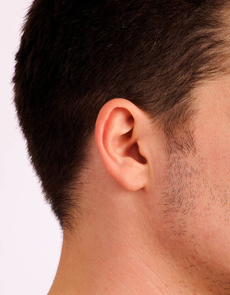 Людина з ідеальним вухом
 - Фото, зображення