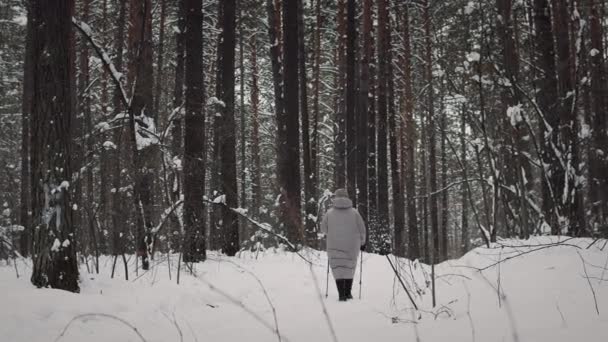 Reif Frau Walking Mit Stöcke - Filmmaterial, Video