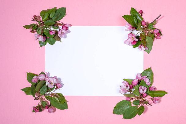 Blooming apple tree twigs or cherry laid out at corners of empty white sheet on pink backdrop. Copy space. Top view. - Foto, Imagen
