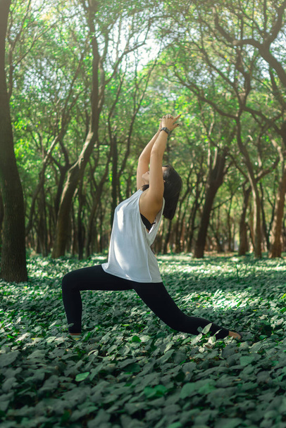 Ormanda meditasyon ve yoga yapan kadınlar için sağlıklı bir yaşam tarzı. Dışarıda yoga yapan genç bir kadın. Meditasyon konsepti. Sağlıklı yaşam konsepti. - Fotoğraf, Görsel