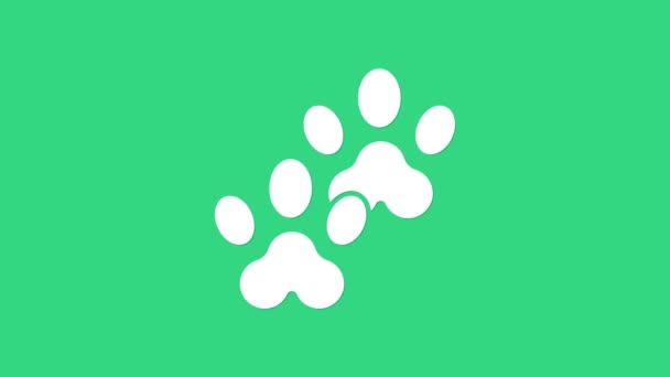 Fehér Mancs nyomat ikon elszigetelt zöld alapon. Kutya- vagy macskamancs lenyomat. Állati nyom. 4K Videó mozgás grafikus animáció - Felvétel, videó