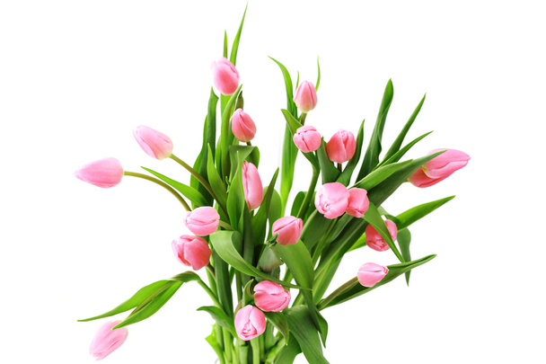 Bouquet of lovely pink tulips on white background - flowers - Foto, Bild