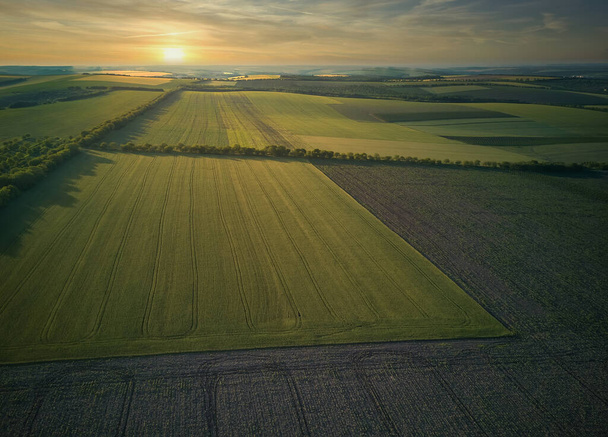 Letecký pohled na zemědělská pole při západu slunce - Fotografie, Obrázek