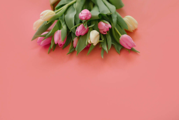 Tulips on a pink background for a Womens Day, Mother Day, 8 march or Valentines day. Close-up. The concept of holidays and good morning wishes. - Photo, Image
