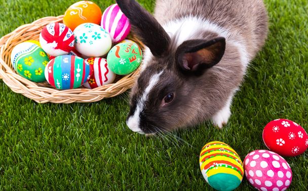 králíků a velikonoční vajíčka v zelené trávě - Fotografie, Obrázek