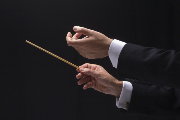 Les mains d'un chef d'orchestre - Photo, image