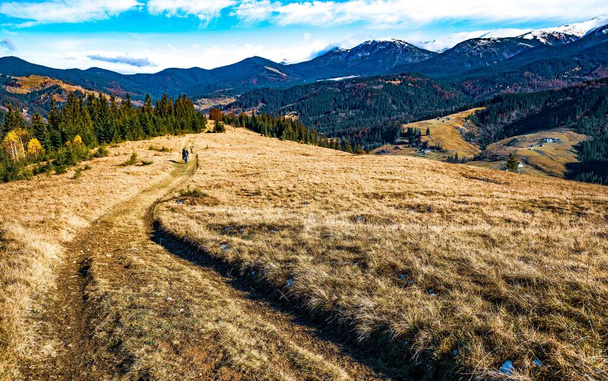 A winding path of dried grass leading far into the beautiful hills of the Carpathian nature among colorful forests - Photo, image