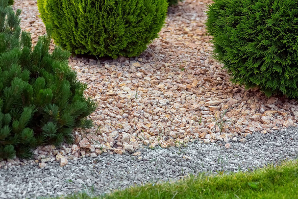 Landscaping of a backyard garden with growth cypress bushes by yellow and gray stone mulch way on a day summer park closeup details, nobody. - 写真・画像