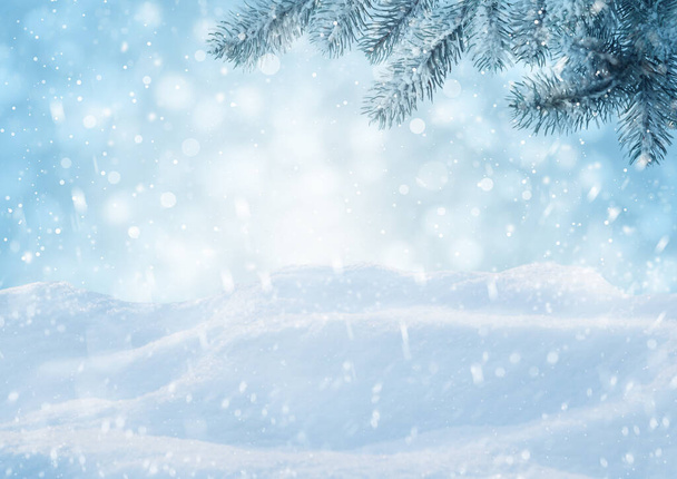 Winter card design. Beautiful fluffy snow and fir tree outdoors - 写真・画像