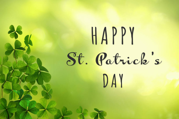 Happy St. Patrick's Day. Clover leaves on green background - Zdjęcie, obraz