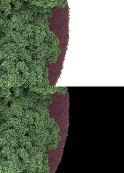 Lombozat táj fotó manipuláció elszigetelt fehér és fekete háttér. 3d renderelés - illusztráció - Fotó, kép