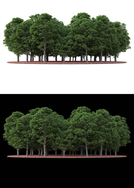 Пейзаж листвы для обработки фотографий изолирован на белом и черном фоне. 3D рендеринг - иллюстрация - Фото, изображение