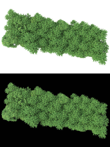 Foliage landschap voor fotomanipulatie geïsoleerd op witte en zwarte achtergrond. 3d weergave - illustratie - Foto, afbeelding
