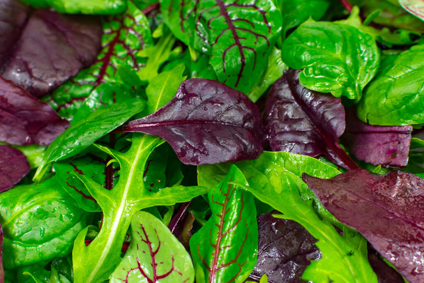 Листя салату з салатом, радиккіо та ракетою як фон
 - Фото, зображення