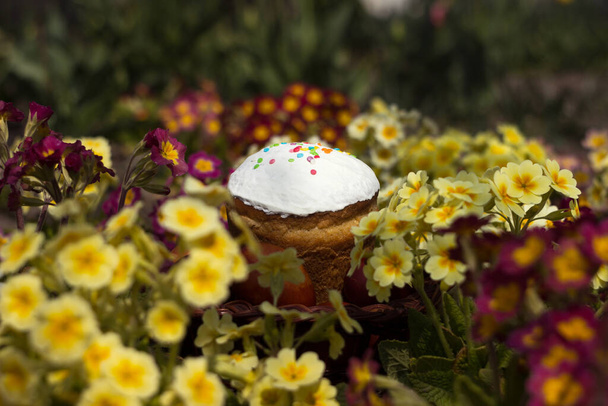 Easter cupcake with multicolored sprinkles and colored eggs in a basket among multicolored bright primrose flowers. Festive background - Photo, Image