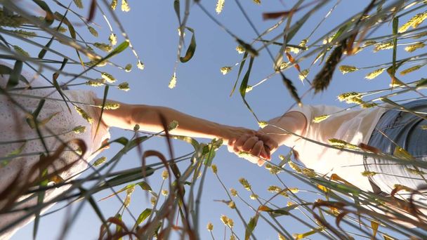 Para zakochanych, trzymających się za ręce, spacerujących razem na polu pszenicy przeciwko błękitnemu niebu. Kochany mężczyzna i kobieta trzymają się za ręce na zewnątrz. Szczęśliwego życia rodzinnego. Zbliżenie ręka w rękę. Rolnicy w polu sprawdzają zbiory zbóż - Zdjęcie, obraz