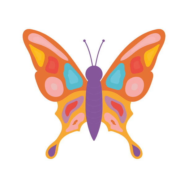 mariposa dibujada a mano con diferentes colores como púrpura y rojo - Vector, imagen