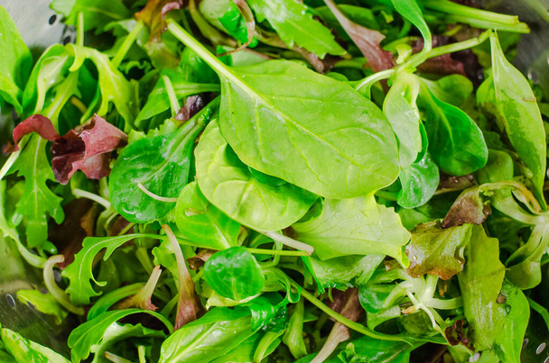 Свіже листя різних видів салату в друшляку
 - Фото, зображення