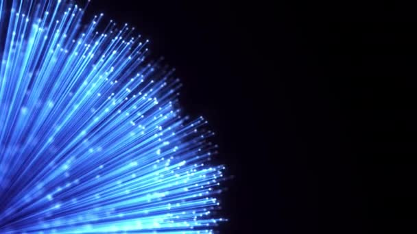 Optik fiber kılıf soyut hareket arkaplanı. Optik kabloların parlayan demeti döngü canlandırması - Video, Çekim