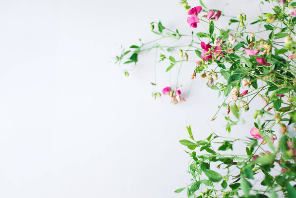 Composizione dei fiori. Modello realizzato con fiori rosa e foglie su sfondo bianco. Primavera, Pasqua, concetto estivo. Layout piatto, vista dall'alto, spazio di copia - Foto, immagini
