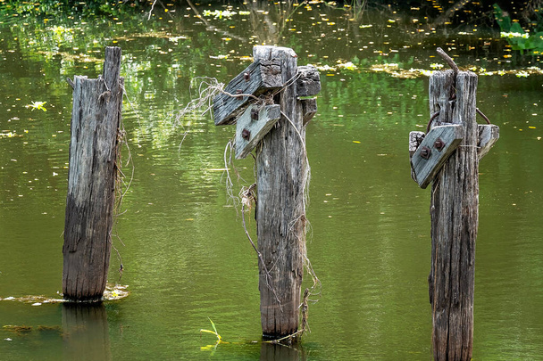 Rozkládající se dřevěné kůly kdysi používané pro přechod přes potok - Fotografie, Obrázek