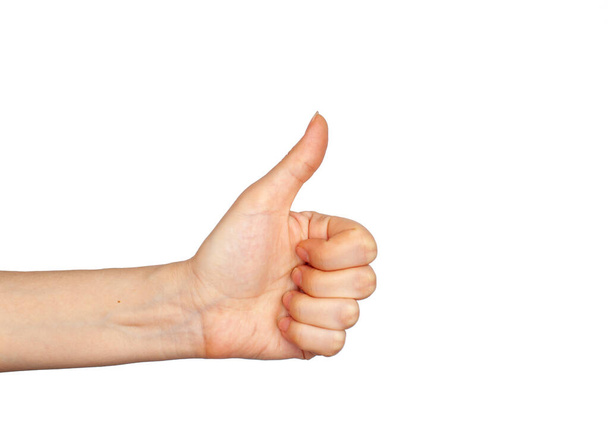 Hand gesture - thumbs up, isolated on a white background. The female palm points to something that is empty for your design. - Foto, Bild