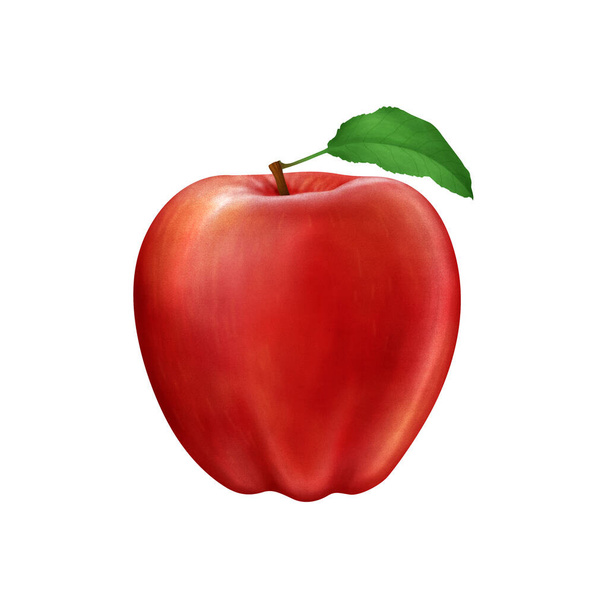 Красное яблоко с реалистичной иллюстрацией листьев на белом фоне - Фото, изображение