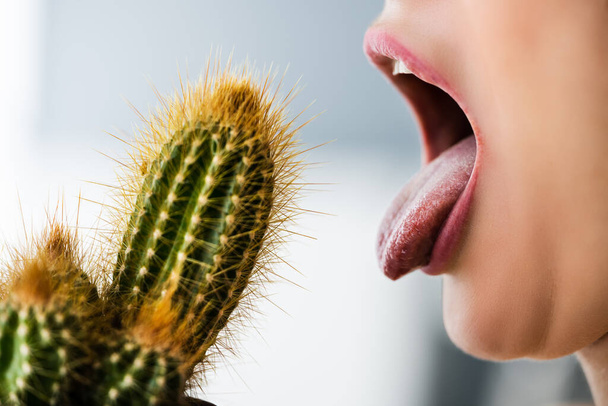 Sexy Woman With Long Tongue Licking Sharp Cactus - Fotoğraf, Görsel