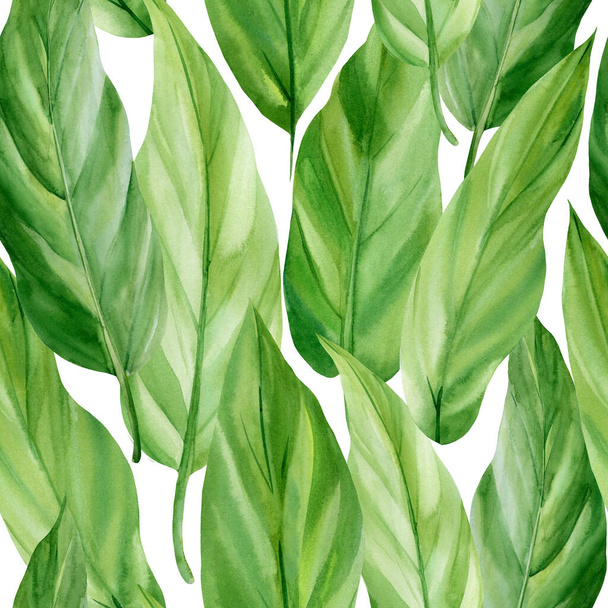 Saumaton kuvio trooppinen lehtipalmu. Vihreät lehdet, akvarelli piirustus - Valokuva, kuva