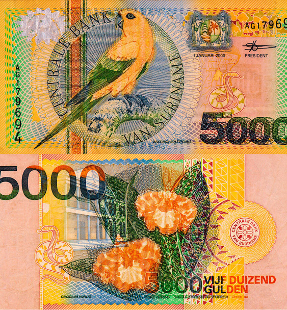 Bird: Sun Parakeet Aratinga Solstitialis. Portrait Suriname 5000 Gulden 2000 Banknotes. - Photo, Image