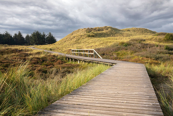 Beautiful wooden footpath under a cloudy sky on the island of Amrum, Germany - Photo, image