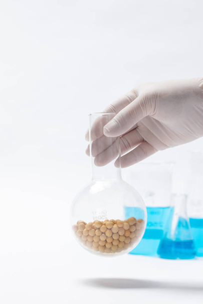 A vertical shot of a scientist holding chickpeas in a flask against a white background - Zdjęcie, obraz