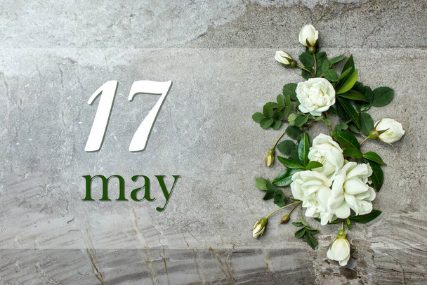 17 de Maio. Dia 17 do mês, data do calendário. Elegantes rosas flat lay. Borda de rosas brancas no fundo cinza pastel com data de calendário. Mês de primavera, conceito de dia do ano - Foto, Imagem