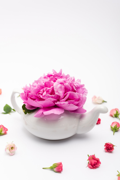flor rosa en tetera de porcelana cerca de rosas de té en blanco - Foto, imagen