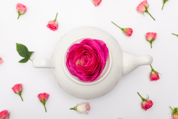 top view of pink flower in porcelain teapot near tea roses on white - Photo, Image
