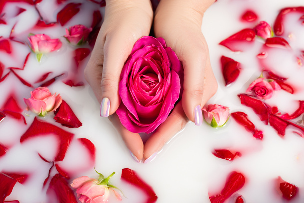 cropped view of woman holding pink flower near roses in milky water  - Photo, Image