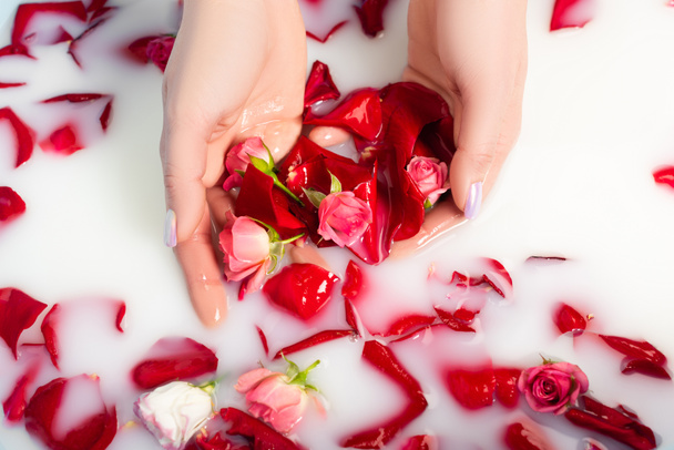 przycięty widok kobiety trzymającej płatki róż w wodzie mlecznej  - Zdjęcie, obraz