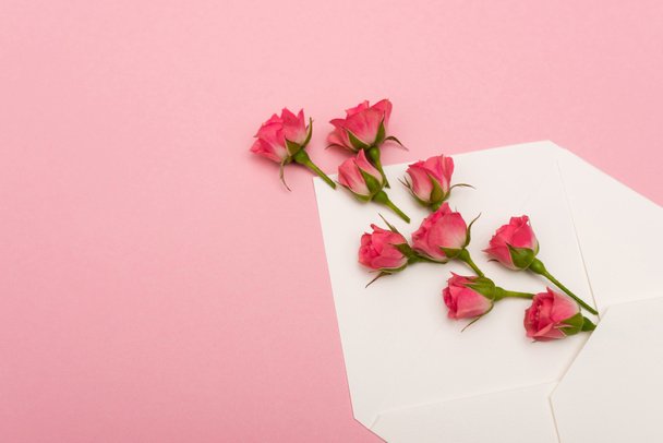 vista superior de pequenas rosas de chá em envelope isolado em rosa - Foto, Imagem