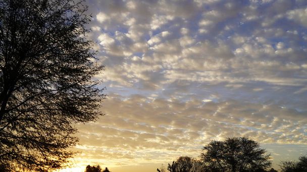 Nubes de luz blanca flotando en el cielo con gran árbol de acacia. Nubes doradas lluviosas con una vista atractiva. - Foto, imagen