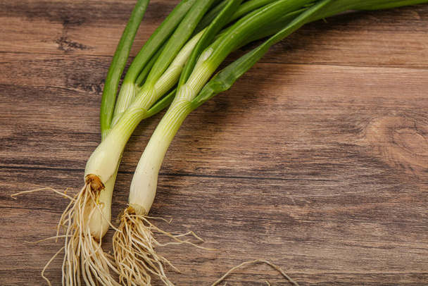 Young fresh tasty green onion seasoning - Photo, Image