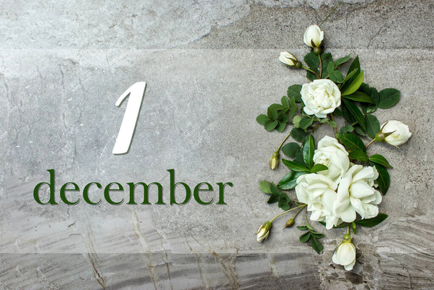 1 de diciembre. Día 1 del mes, fecha del calendario. Elegantes rosas planas. Rosas blancas bordean sobre fondo gris pastel con fecha de calendario. Mes de invierno, concepto del día del año - Foto, imagen