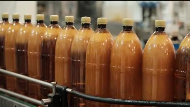 Bottles full of fresh beer transported by production line - Footage, Video