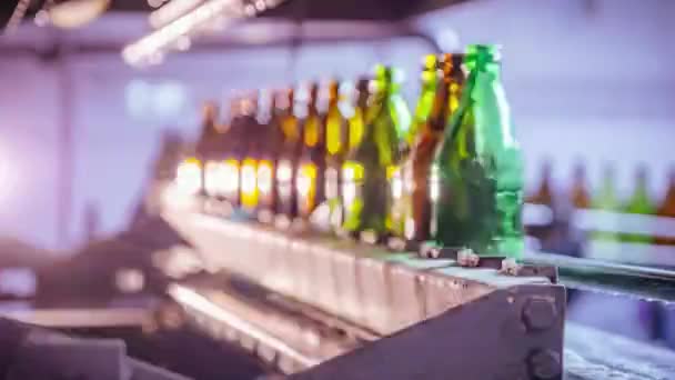 Apparatuur vervoert bruine en groene glazen flessen voor bier - Video