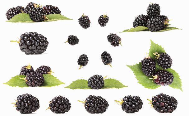 Blackberry vruchten geïsoleerd op witte achtergrond - Foto, afbeelding