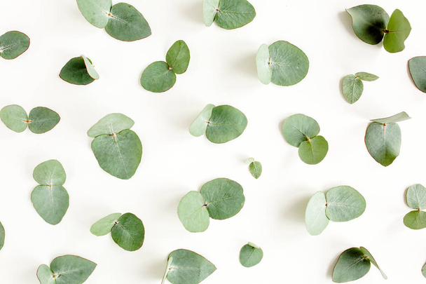 Pattern texture with green leaves eucalyptus isolated on white background. lay flat, top view - 写真・画像