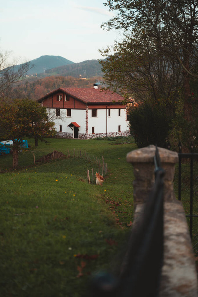 外に犬がいる伝統的なバスク地方の家の裏庭 - 写真・画像